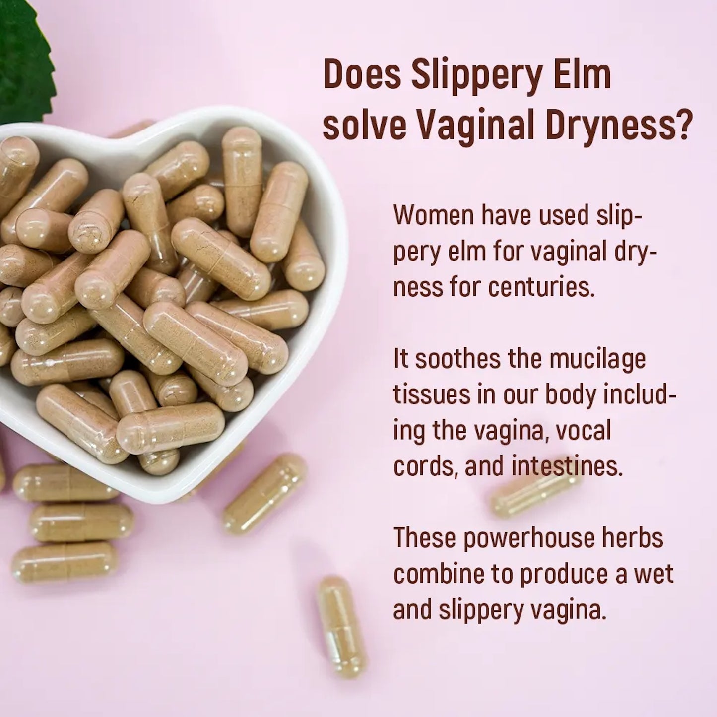 Slippery Elm Bark Capsules for Vaginal Health - 1000mg - 60 Count