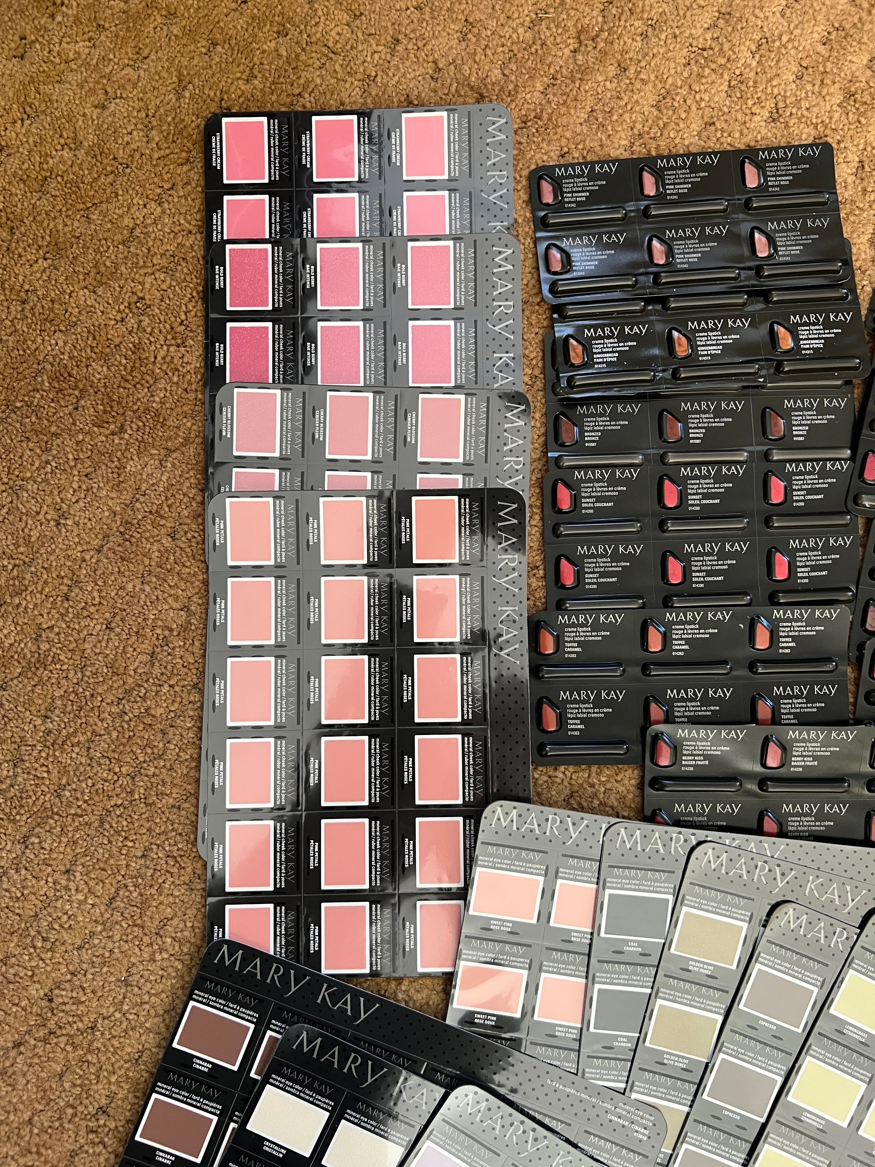 MASSIVE Mary Kay Consultant Sample Collection - 100+ Mineral Eye Colors, Cheek Colors, Lipstick & Powder Sample Cards